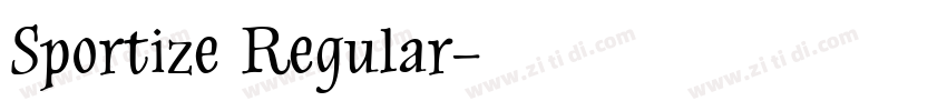 Sportize Regular字体转换